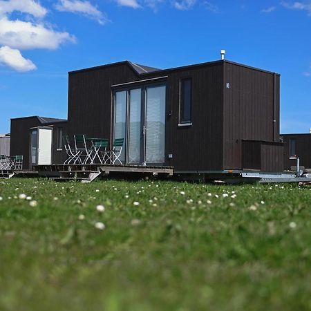 Tiny House Nature 8 Innenlage - Green Tiny Village Harlesiel 카롤리넨시엘 외부 사진